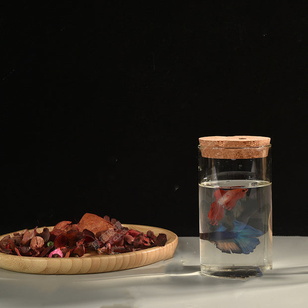 Modern Micro Landscape Eco Glass Jar Ornament